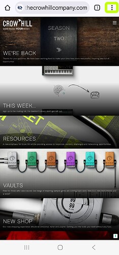 Screenshot_20250630_164318_Chrome