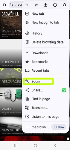 Screenshot_20250630_164336_Chrome