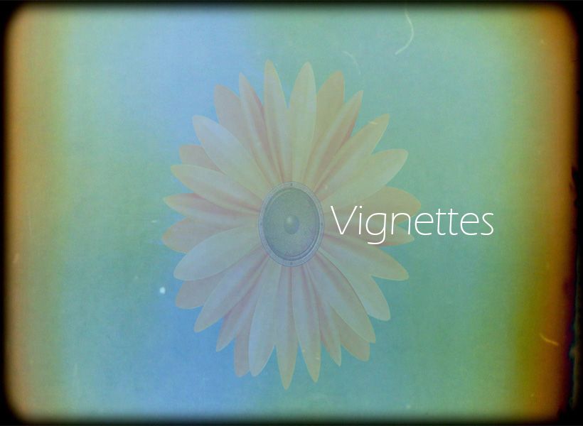 Vignettes
