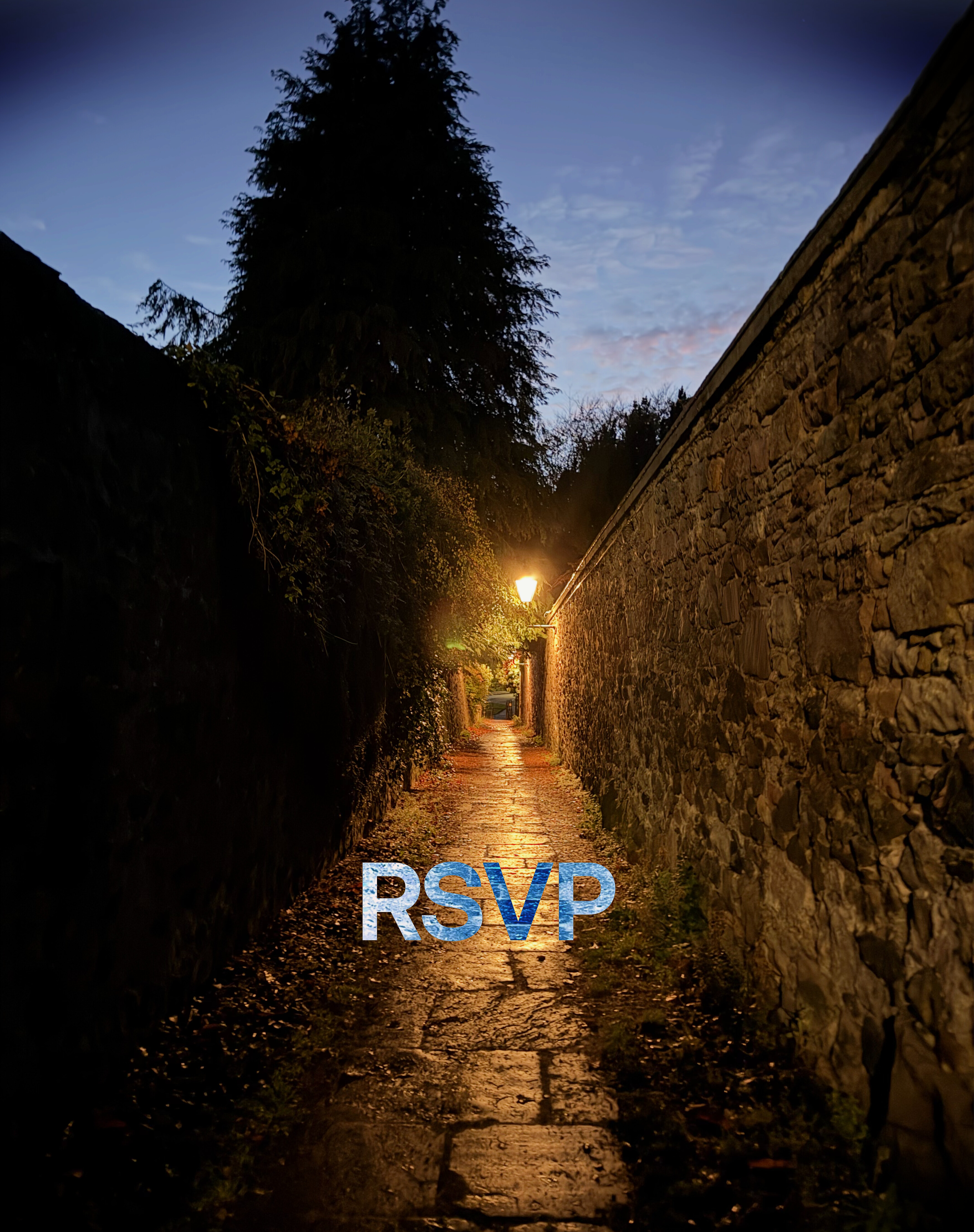 TCHC_R_ID-268541_Primary